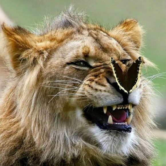 Vintage💖Necklace-Womans - Picture 4 of 7